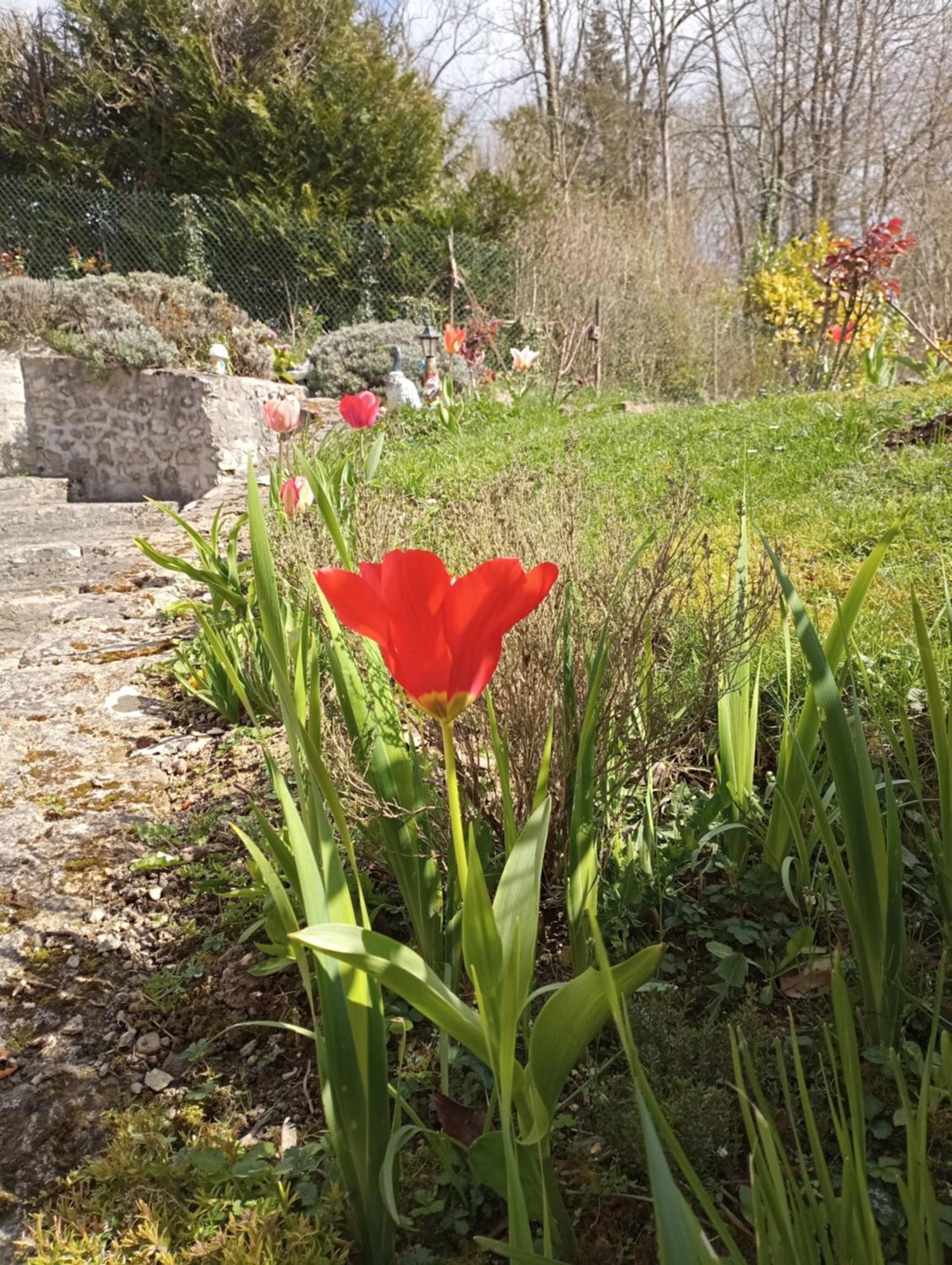 Gite L'Olivianne Crépy-en-Valois Exteriör bild