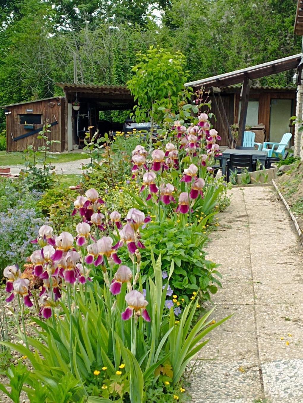 Gite L'Olivianne Crépy-en-Valois Exteriör bild